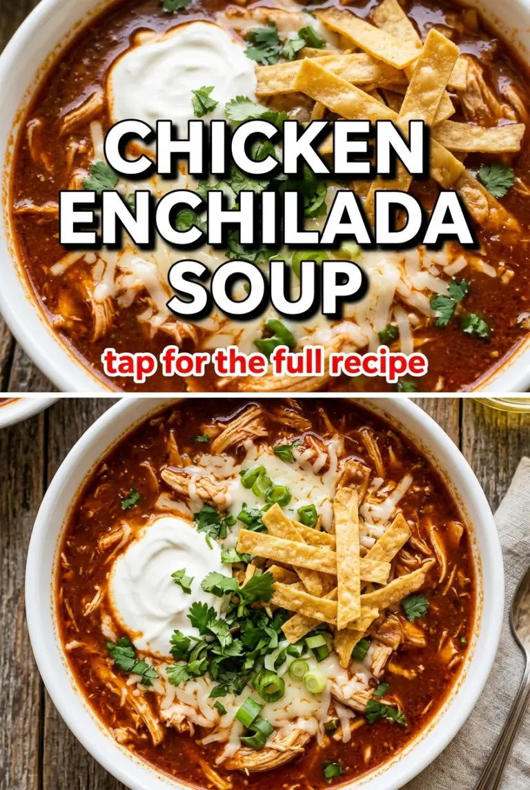 Chicken Enchilada Soup