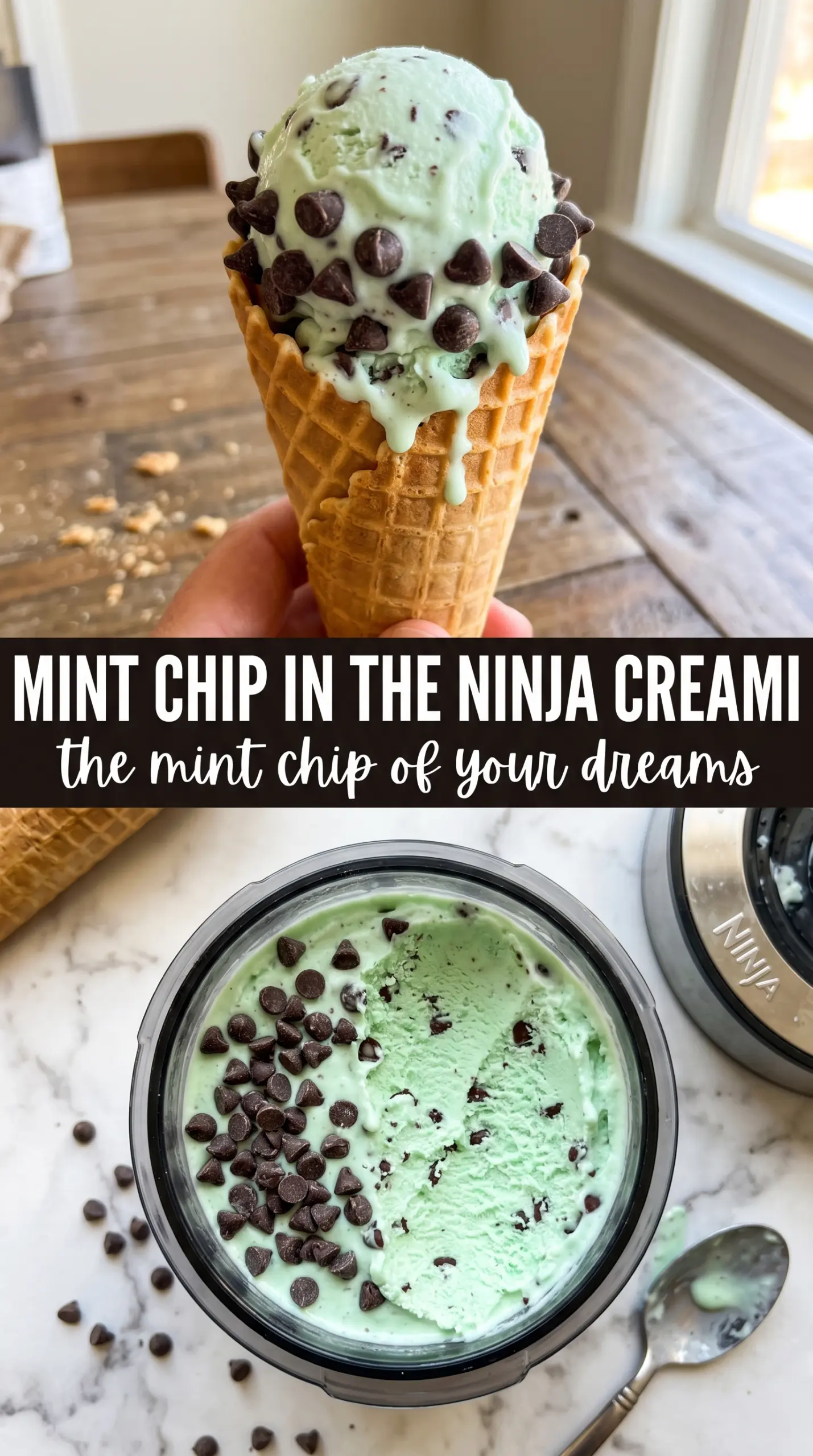 Ninja Creami Mint Chocolate Chip Ice Cream creamy peppermint chocolate chip