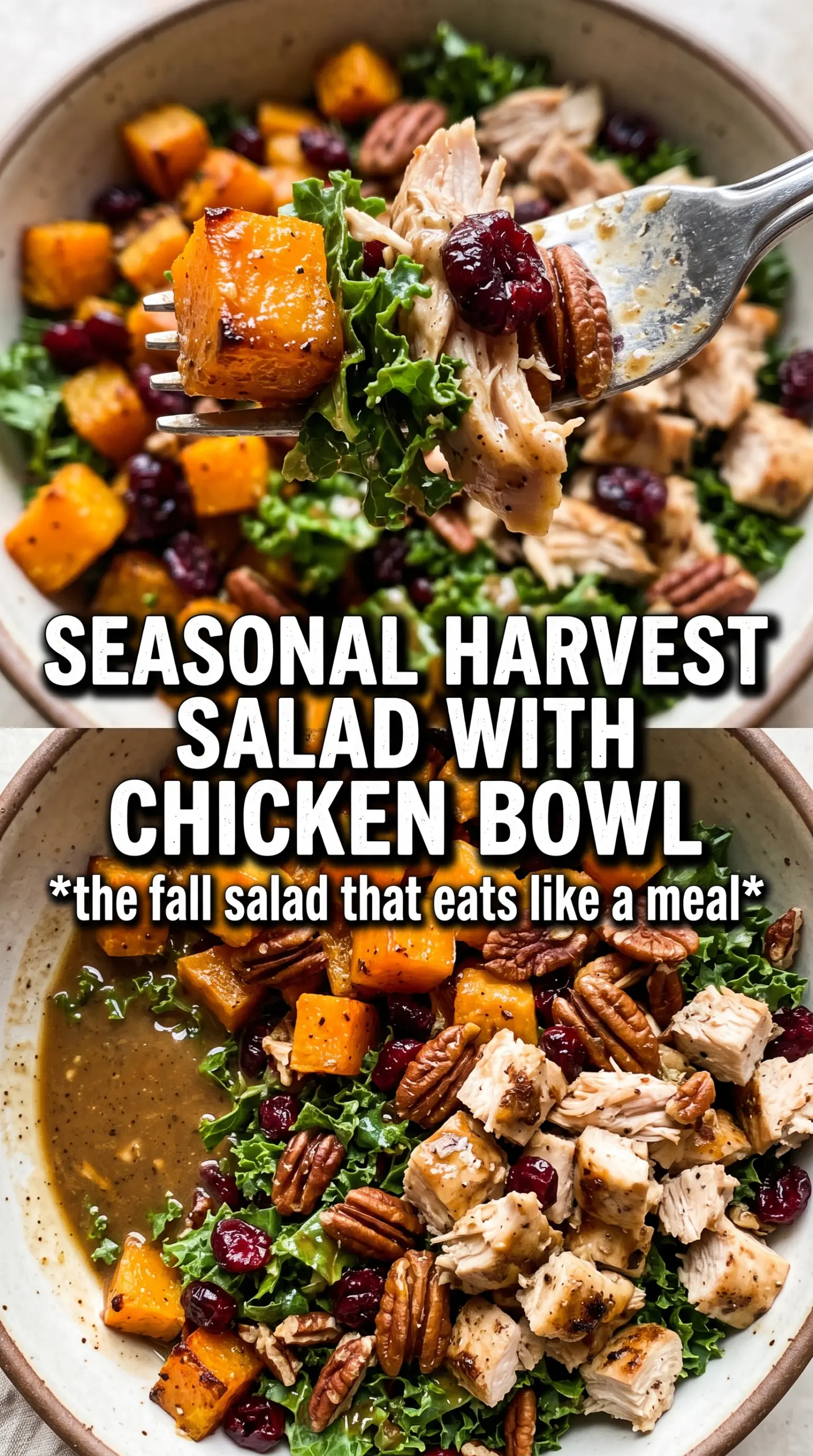 Chopped Fall Harvest Salad With Chicken colorful autumn chopped salad