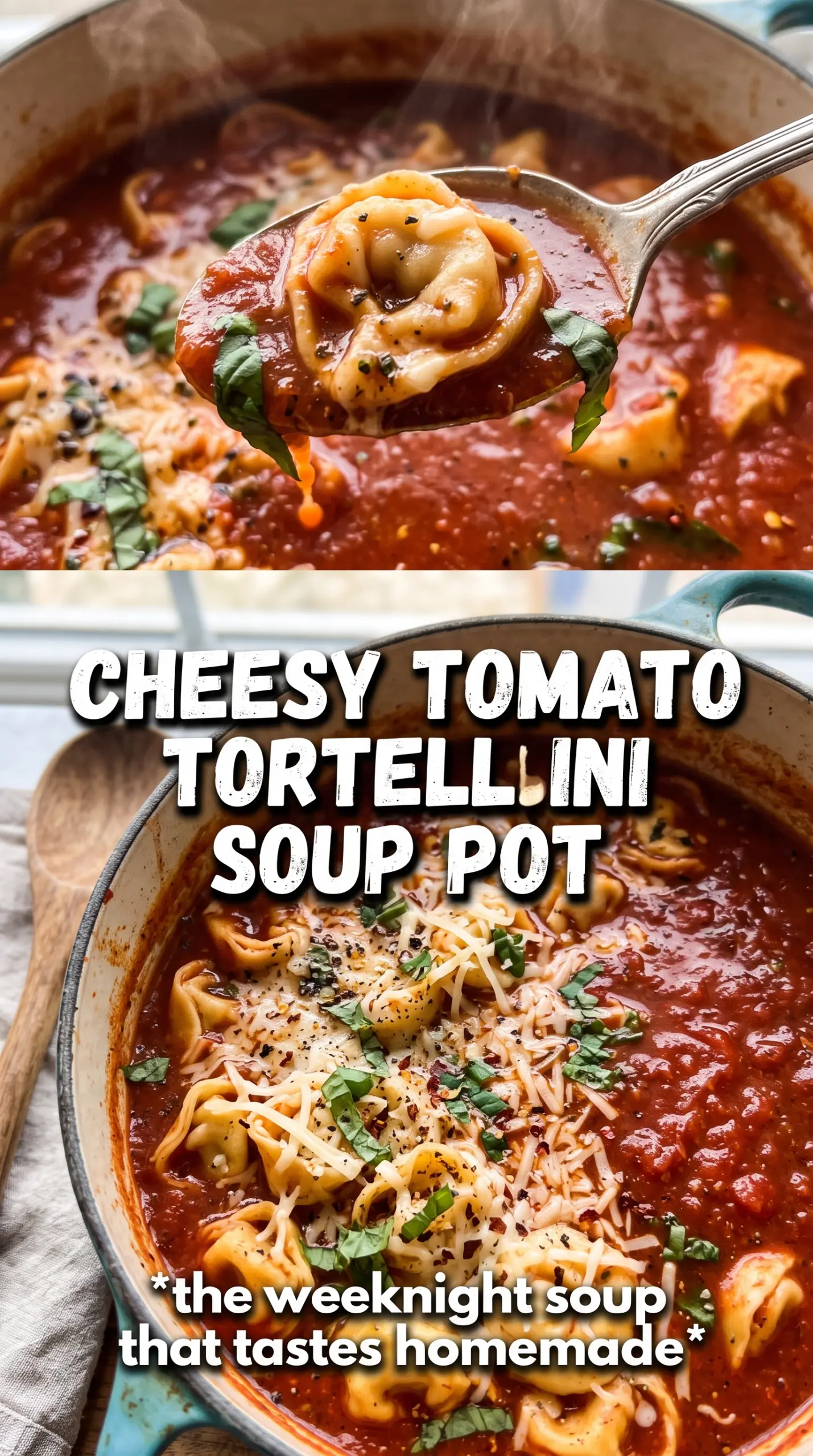 Tomato Tortellini Soup creamy hearty basil